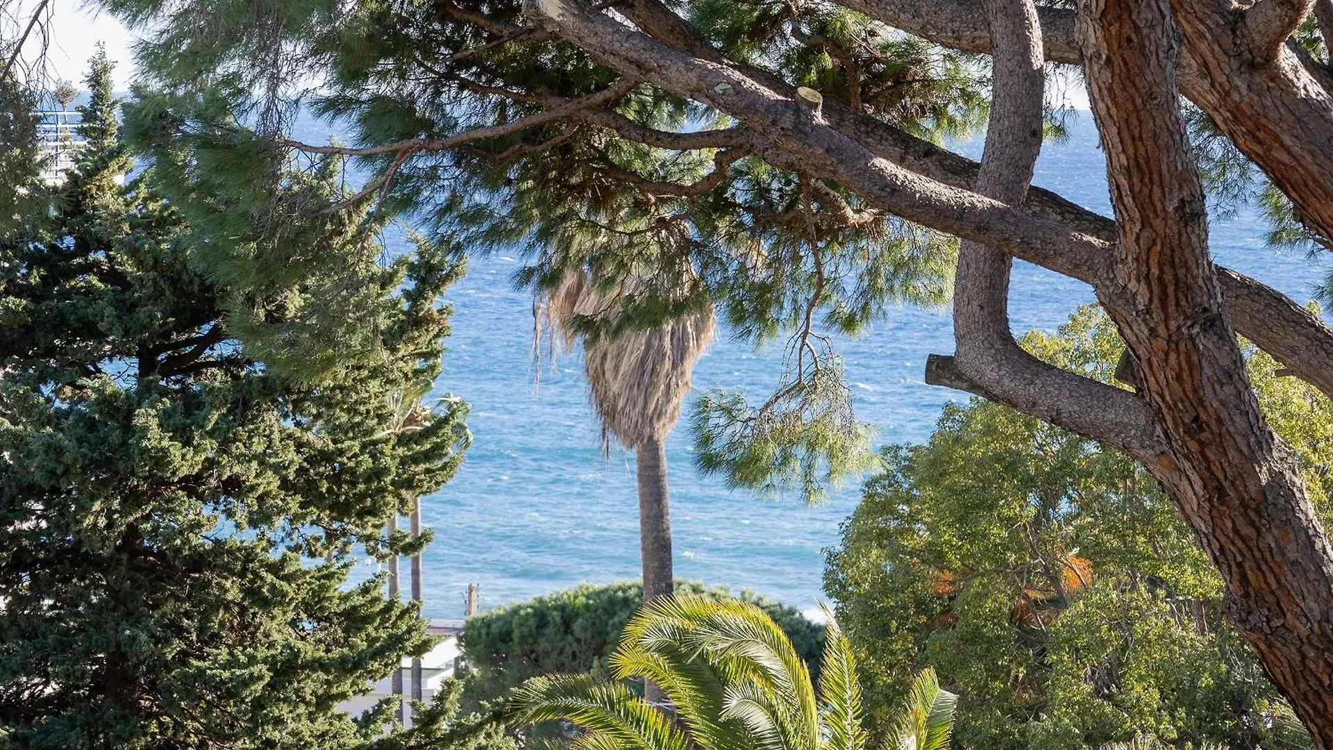 Studio Moderne Proche Des Plages A Cannes Appartement